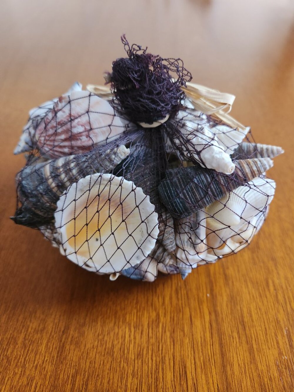 Pottery Barn Shells - Picture 3 of 5